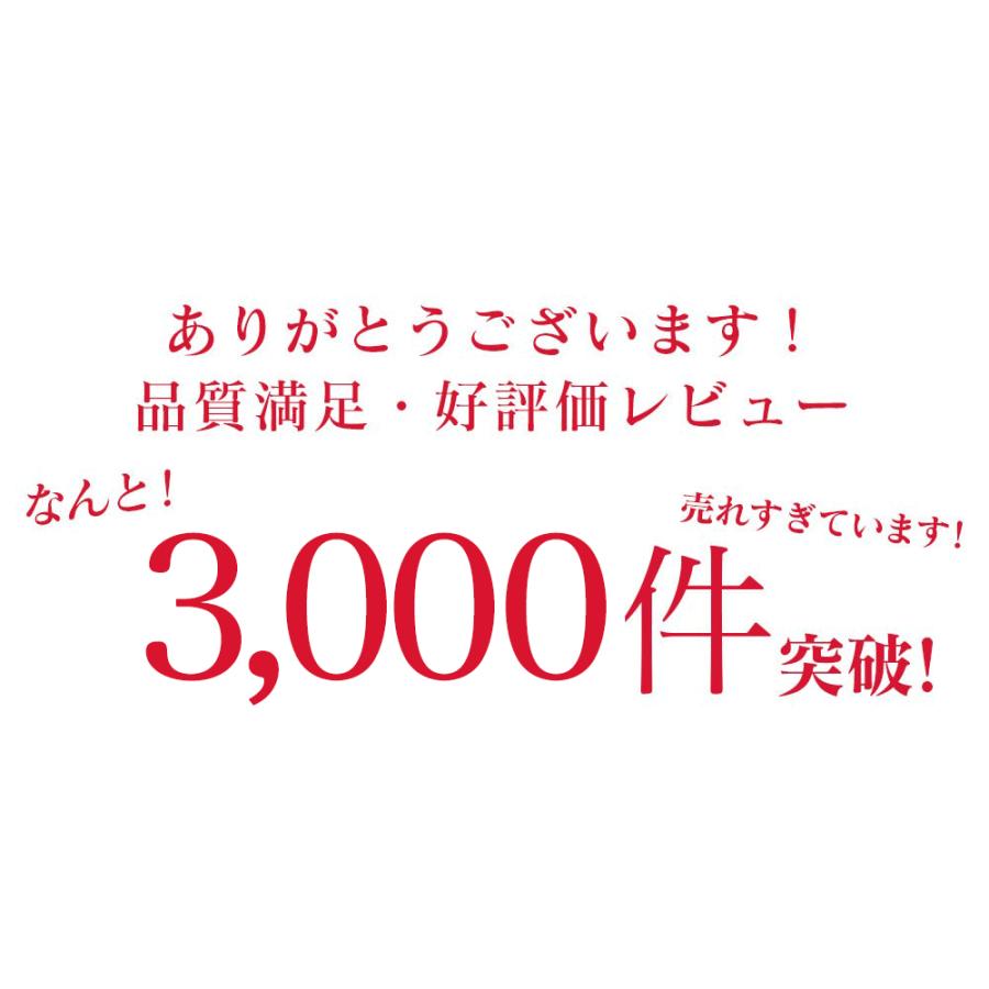 iPhone17 ケース クリア 耐衝撃 iPhoneAir iPhone17Pro iPhone17ProMax iPhone16 アイフォン iPhone15 iPhone14 iPhone13 iPhoneSE 携帯ケース | ブランド登録なし | 09