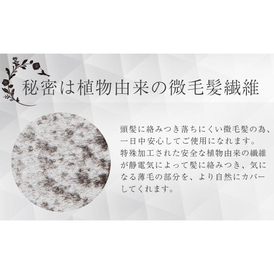 外部 しつけ 思いやり メンズビゲン カラー リンス はげる Carlaswinney Com