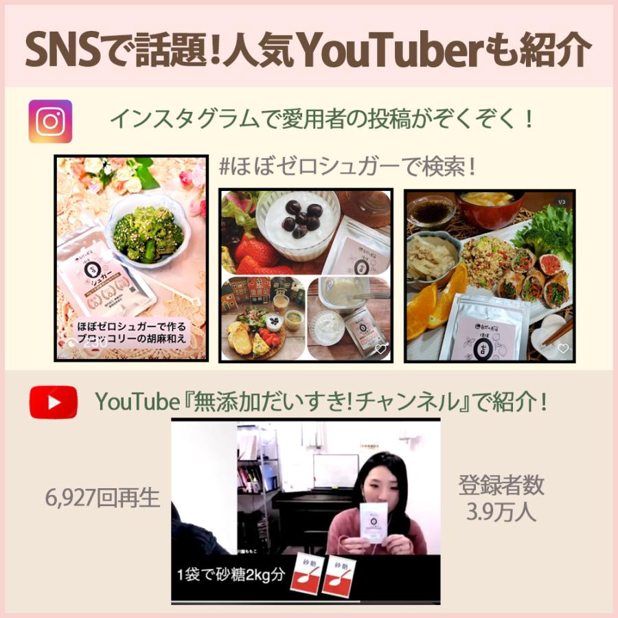 ラカンカ 【糖質ゼロで砂糖の200倍の甘さ】 ステビア 天然甘味料 羅漢果 羅漢果顆粒 粉末 カロリーゼロ ダイエット 国内製造 砂糖代替 糖質制限 お菓子作り | ブランド登録なし | 02