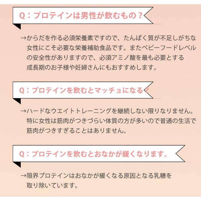 高級プロテイン  女性 40代 50代 60代 完全無添加 ホエイ WPI 糖質ゼロ 糖質オフ 粉末 700g 限界プロテイン GKP BCAA｜galleries｜19