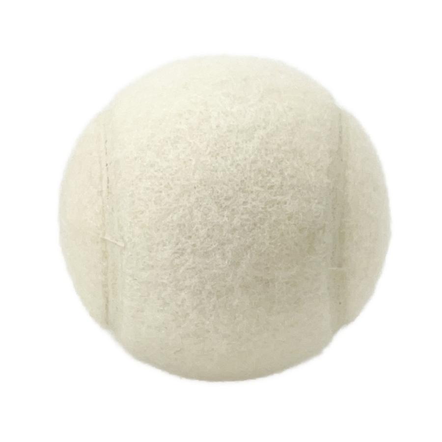 シャネル テニスセット テニスボール 硬式用 キャンバス エラ