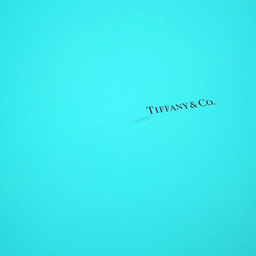 ティファニー ショルダーバッグ リターン トゥ ティファニー チャーム ハート クロスボディバッグ 72017420 Tiffany&Co. 2way