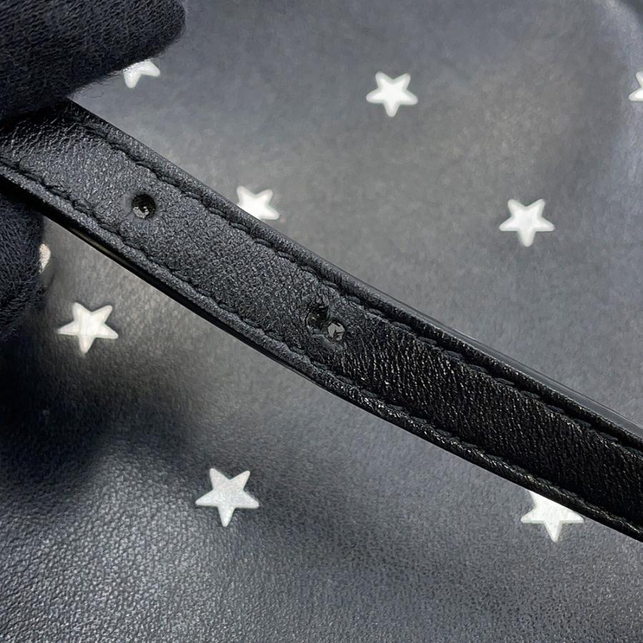 サンローランパリ ショルダーバッグ スター ルー カメラバッグ レザー 574494 SAINT LAURENT PARIS 黒 【安心保証】_13