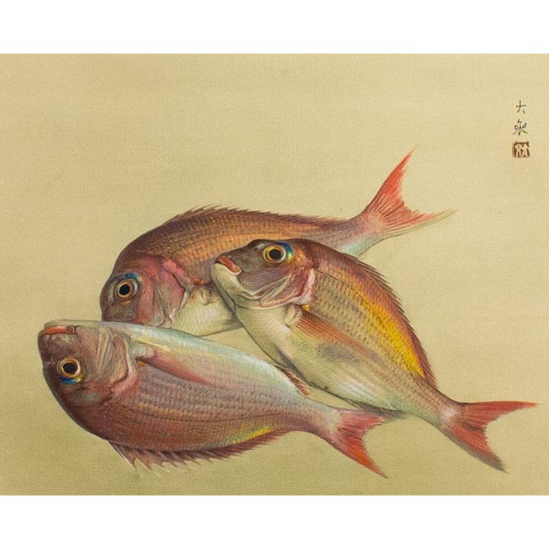 青木大乗 「 三匹鯛 」 掛軸 ( 尺八横 ) 掛け軸 肉筆 真筆 鯛 魚 青木大乗 「 三匹鯛 」 掛軸 ( 尺八横 ) 掛け軸 肉筆 真筆 鯛 魚