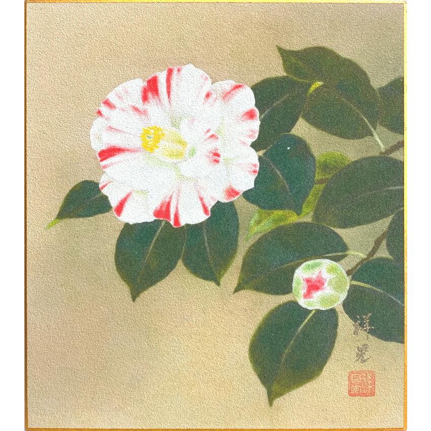 原田祥晃 椿 色紙絵 絵画 日本画 冬の色紙 春の色紙 メール便 ネコポス J9 1239 K 内田画廊 通販 Yahoo ショッピング