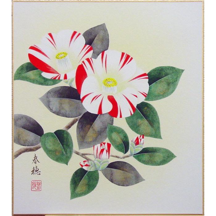 藤田春穂 『椿』 色紙絵 絵画 日本画 花 冬 春 メール便 藤田春穂 『椿』 色紙絵 絵画 日本画 花 冬 春 メール便