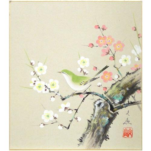 中谷文魚 梅に鶯 色紙絵 絵画 日本画 冬 お正月 春 ネコポス メール便 J9 12 K5 内田画廊 通販 Yahoo ショッピング