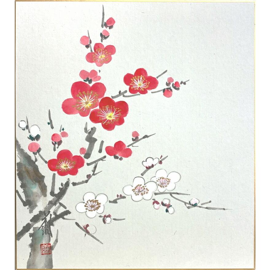 高橋 繭 紅白梅 色紙絵 絵画 日本画 花 正月 冬 春 花 メール便 ネコポス J9 144 2 H 内田画廊 通販 Yahoo ショッピング