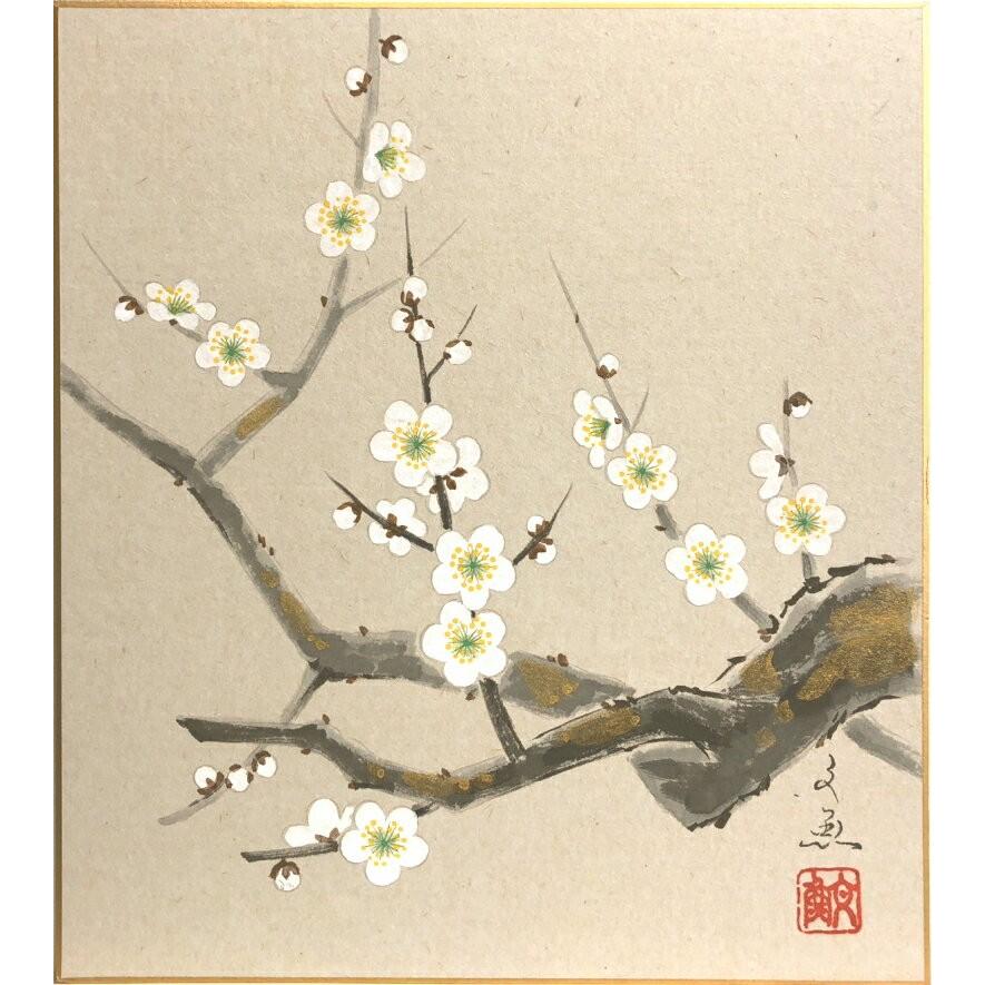 中谷文魚 『白梅』 色紙絵 絵画 日本画 冬 春 ネコポス メール便