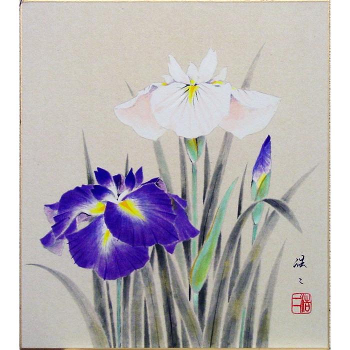 佐藤浩二 菖蒲 色紙絵 絵画 日本画 和風 春 初夏 端午の節句 5月 6月 メール便 ネコポス J9 2595 K5 内田画廊 通販 Yahoo ショッピング