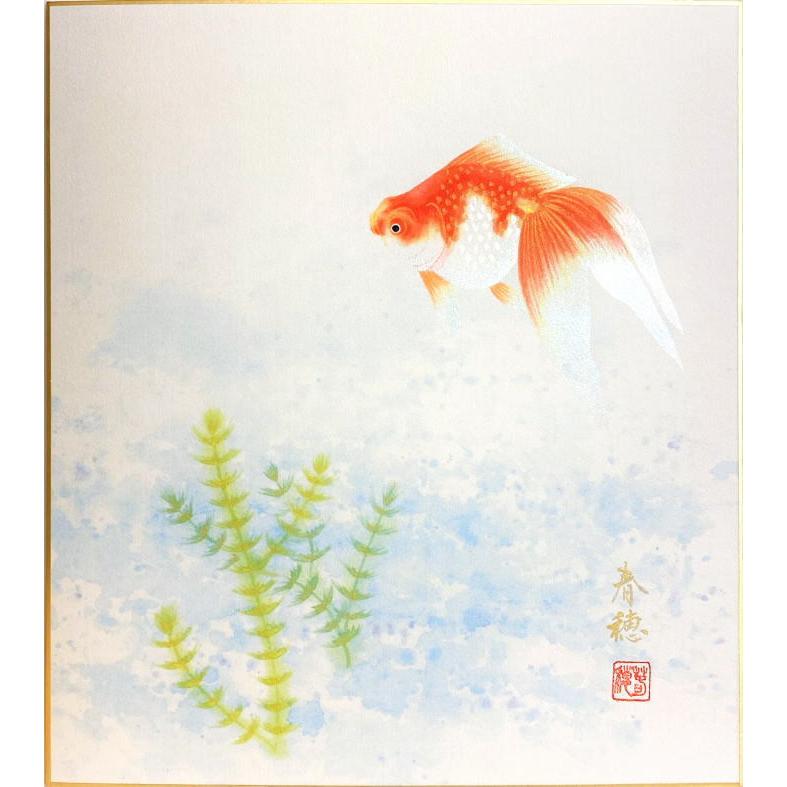 藤田春穂 「 金魚 」 色紙絵 絵画 日本画 夏の色紙 きんぎょ 藤田春穂 「 金魚 」 色紙絵 絵画 日本画 夏の色紙 きんぎょ