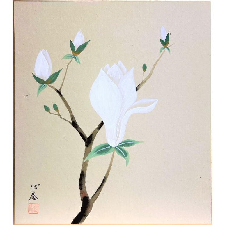 坪内正庵 木蓮 色紙絵 絵画 日本画 花 春 白い花 メール便 ネコポス J9 9171 U 内田画廊 通販 Yahoo ショッピング