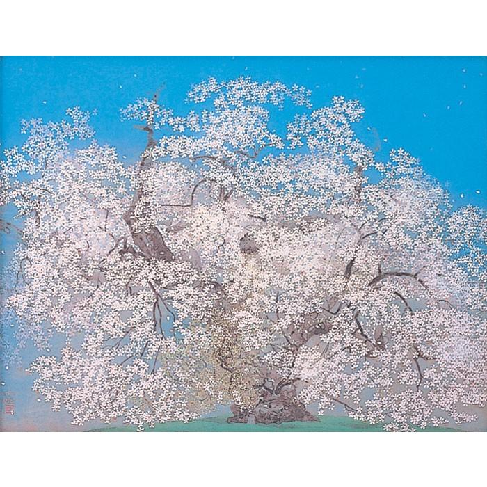 中島千波  『千歳櫻』  岩絵具方式　複製日本画　　　　絵画 桜 春 名画 巨匠 版画 送料無料｜gallery-uchida｜02