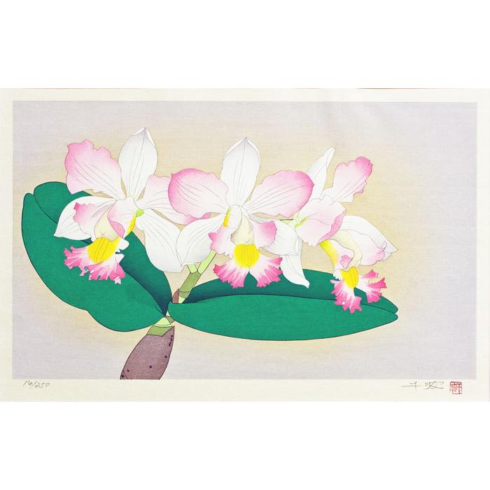 高評価のクリスマスプレゼント 中島千波 カトレア 花の瞬間 とき より オリジナル木版画 絵画 日本画 送料無料 白い花 木版画 Zippybroadband Com