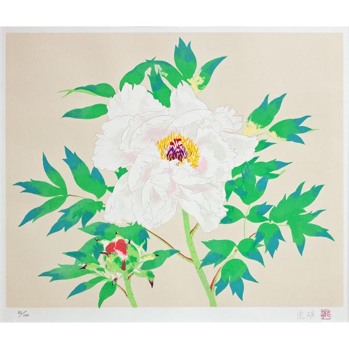 822 ダン・パルトゥシュ 静物画 花 リトグラフ 限定300部