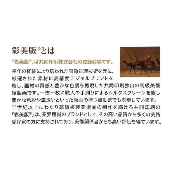 平山郁夫 「 文明の十字路を往く アナトリア高原 カッパドキア トルコ
