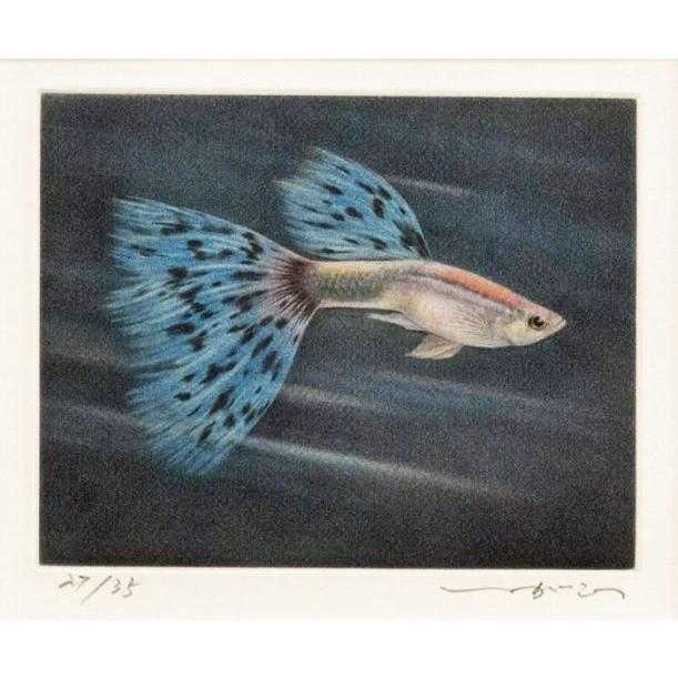 絵画　カラー銅版画　シ―ト fit=scale-down,w=1200