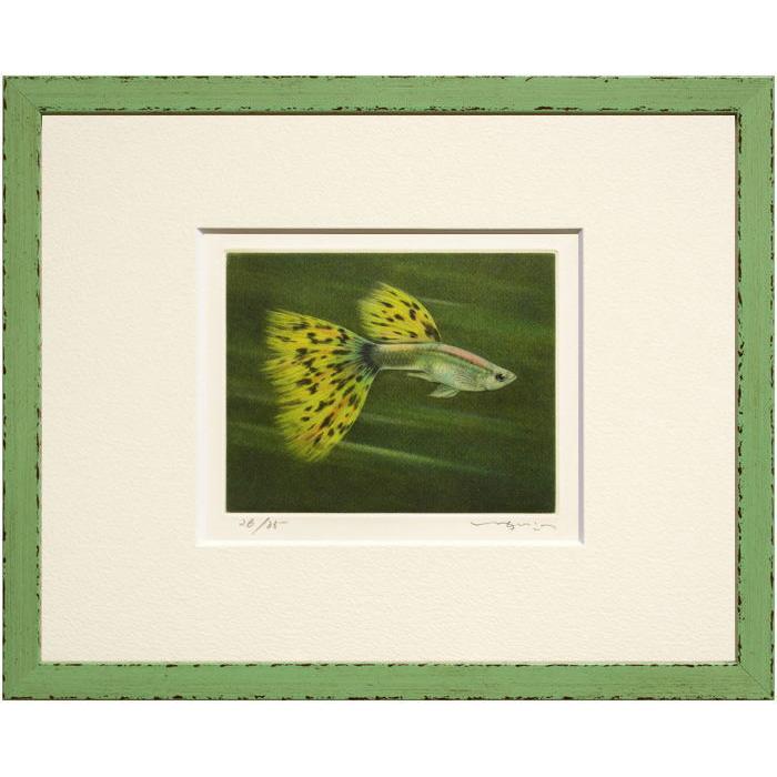 中島広美 一版多色刷り 銅版画 「Bruit d’eau /水の音」 1/50 中島広美 一版多色刷り 銅版画 「Bruit d'eau /水の音」 1/50