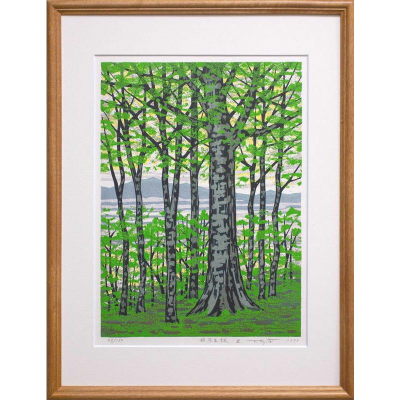 版画？　林の風景　作者S.Okamoto　サイン有り　繊細な樹木　額入り 版画？ 林の風景 作者S.Okamoto サイン有り 繊細な樹木 額入り 版画？ 林