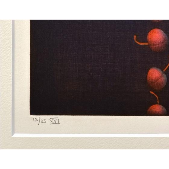 浜口陽三 「 22のさくらんぼ 」 カラーメゾチント 銅版画 版画
