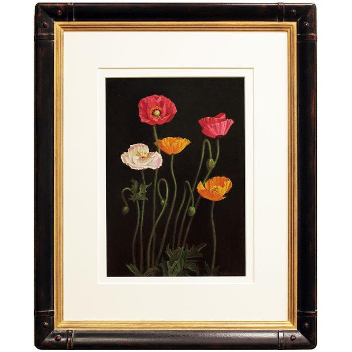 油彩画　「　ポピー　」　原画　3Dキャンパス 油彩画 「 ポピー 」 原画 3Dキャンパス 油彩画 「 ポピー 」 原画 3D