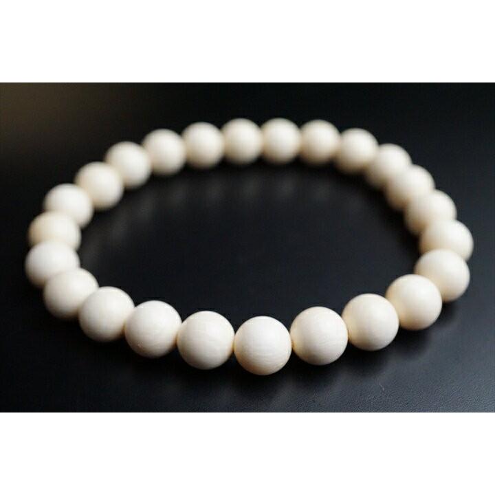 8mmマンモス牙化石ブレスレット : ギャラリーメイスン ヤフー店 - 通販