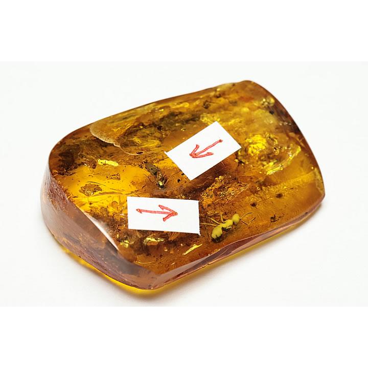 虫入り琥珀(コハク)ドミニカ産 : ギャラリーメイスン ヤフー店 - 通販