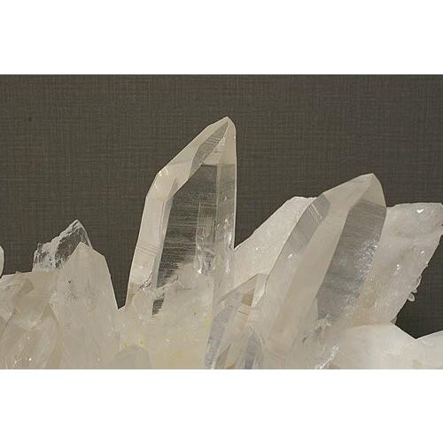 美✨超希少✨AAAAA 特大 コロンビアレムリアン✨my collection✨ 美