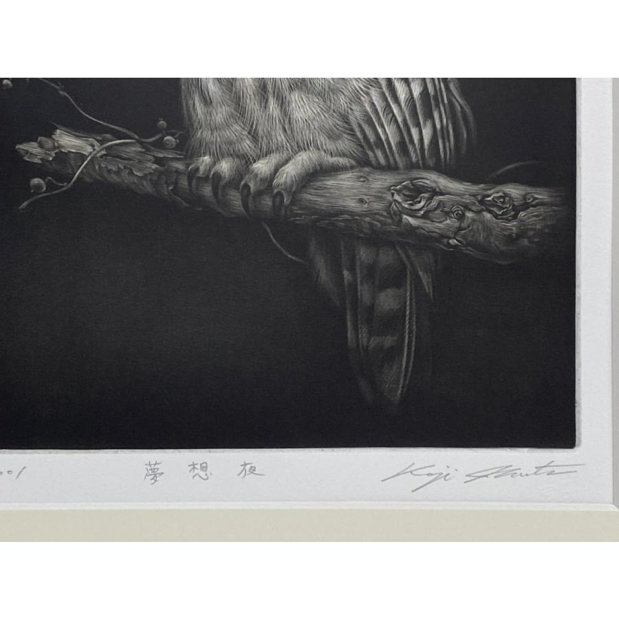 生田宏司「夢想夜」銅版画 メゾチント 額装 サインあり ふくろう 生田宏司「夢想夜」銅版画 メゾチント 額装 サインあり ふくろう
