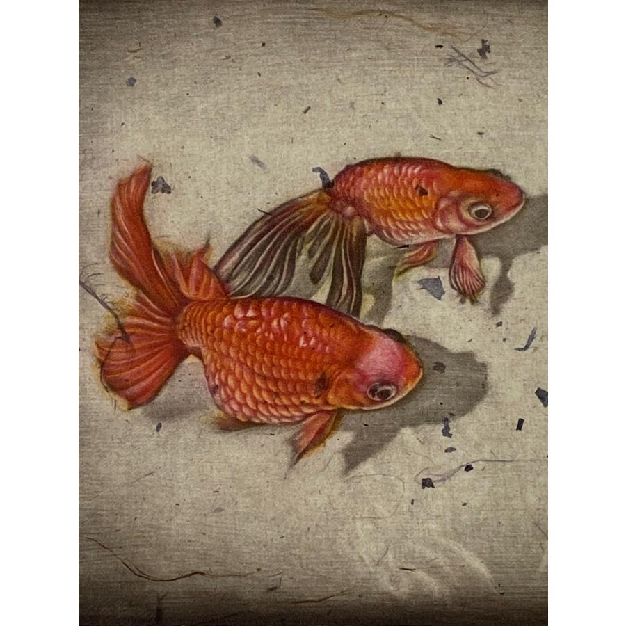 生田宏司「金魚」銅版画 カラーメゾチント 額装 魚 きんぎょ - 美術品