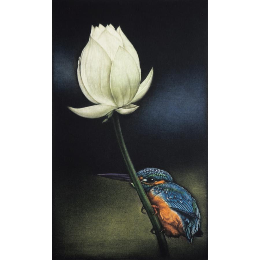 最新コレックション 生田宏司「蓮に翡翠」銅版画 カラーメゾチント 鮮やかな色合い 鳥 カワセミ 額装 銅版画、エッチング