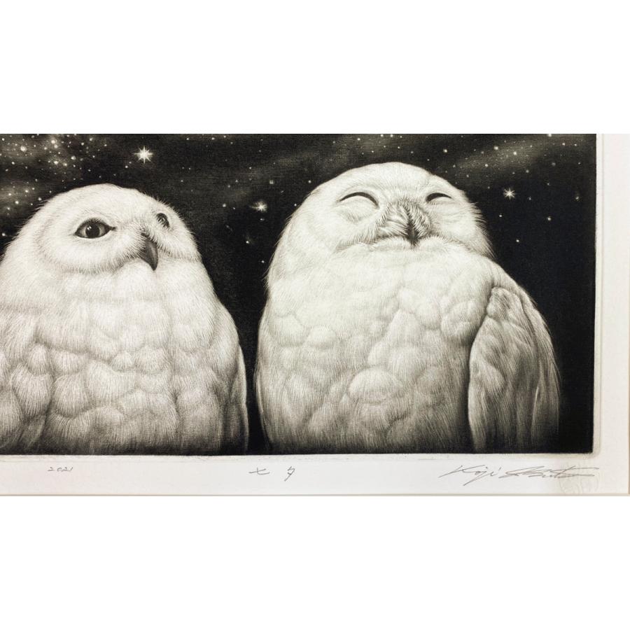 生田宏司「七夕」銅版画 メゾチント 額装 2羽のフクロウ 銀河 宇宙