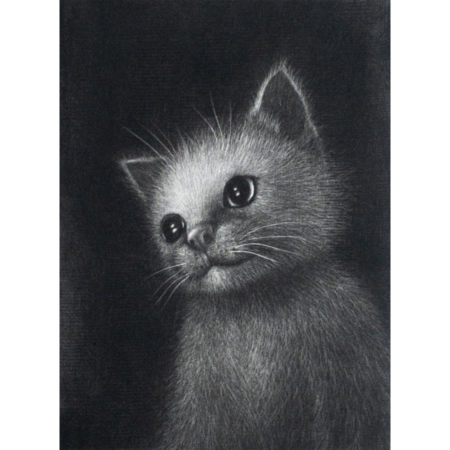仙北谷和子「みつめる」銅版画 メゾチント 額装 猫 : ギャラリー伸