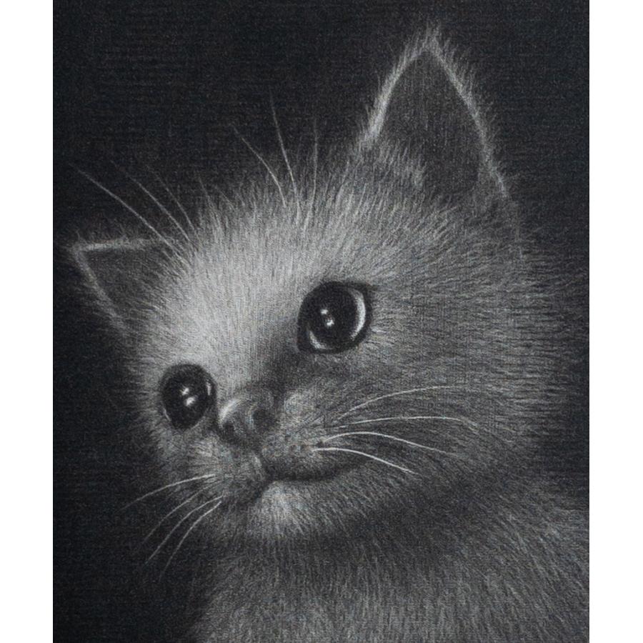 仙北谷和子「みつめる」銅版画 メゾチント 額装 猫 : ギャラリー伸
