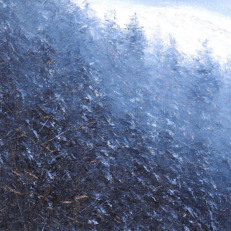 板垣文雄 古寺への径にて 油彩6号 風景画 雪景色 冬 山 自然 道 路 無所属 アート インテリア 油絵 原画 絵画 真作保証 値下げ交渉可能 |  | 07