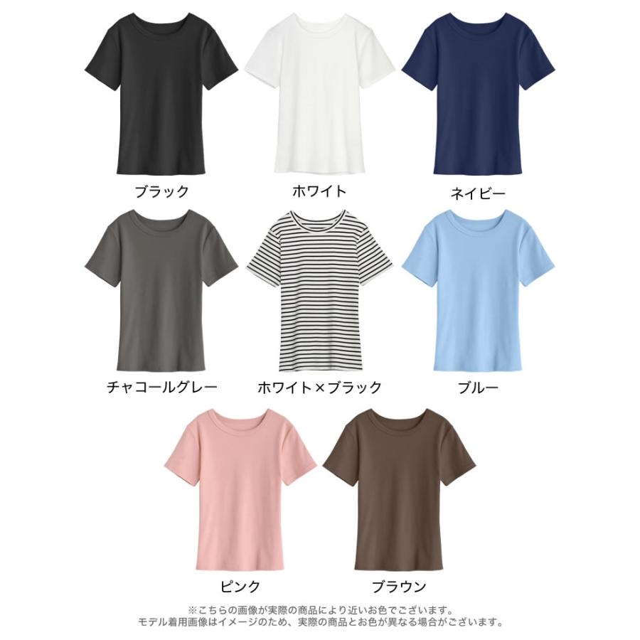 Tシャツ レディース トップス カットソー 半袖 リブカットソー インナー ストレッチ 新色追加 晩夏 XL 2025春夏[mb] | Re:EDIT | 25
