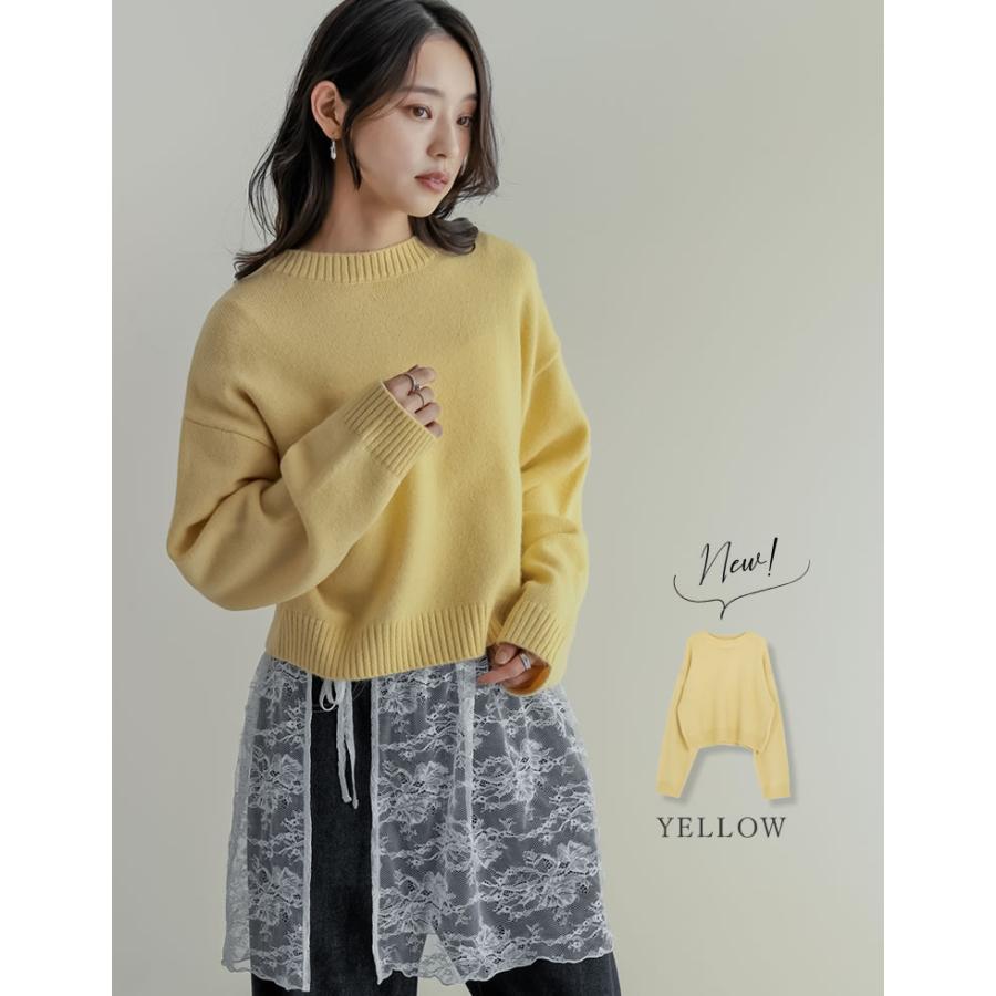 ニット トップス レディース 長袖 10色 M/L プルオーバー セーター クロップド丈 カラーニット 秋冬 | Re:EDIT | 17