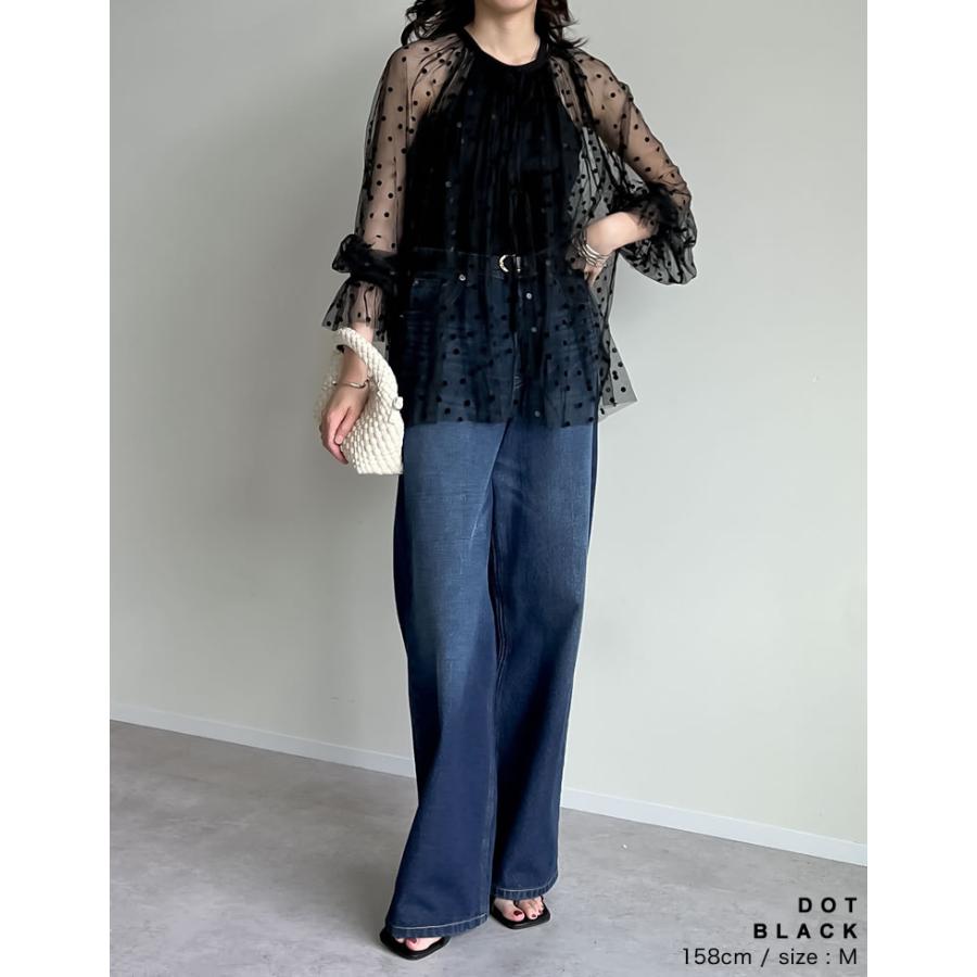 Re:EDIT（リエディ） シアーシャツ レディース シアーブラウス