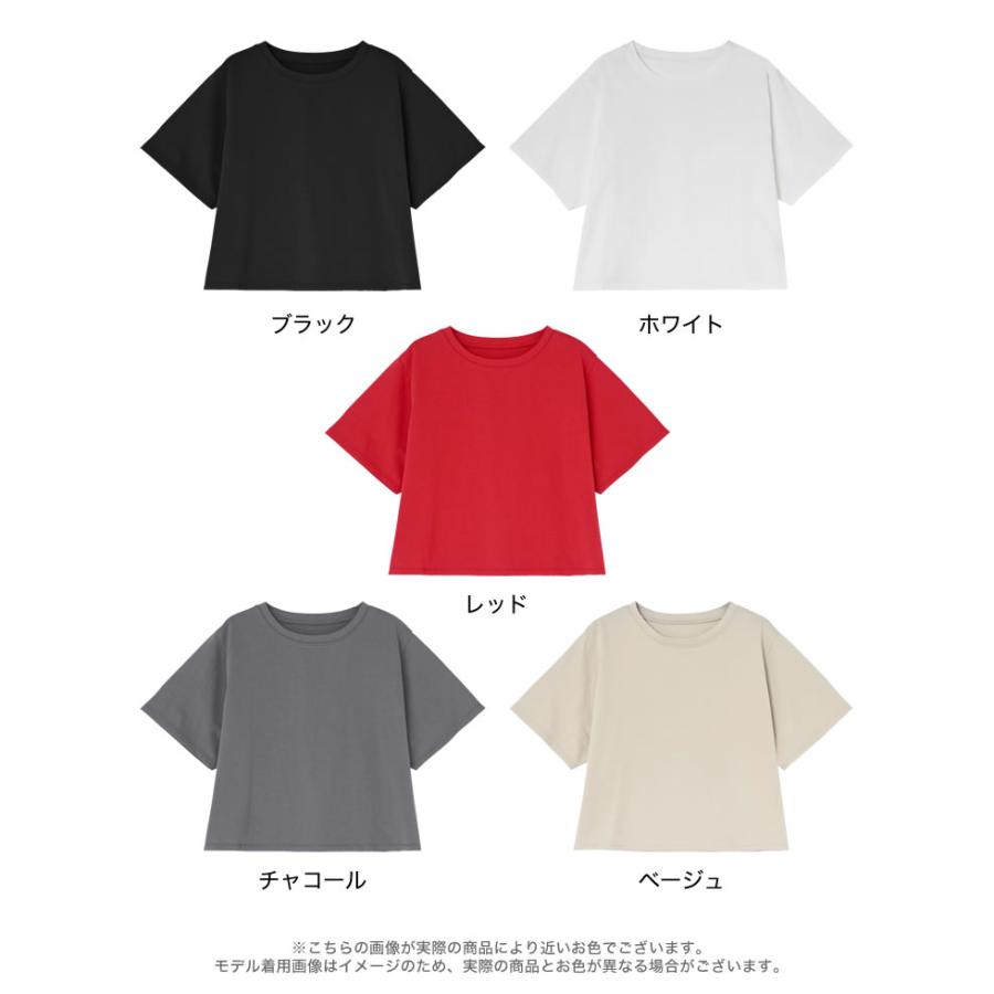 Tシャツ レディース トップス 半袖 クロップド セミクロップド　短丈 ベーシック シンプル ショート丈 クルーネック 春夏[mb] | Re:EDIT | 22