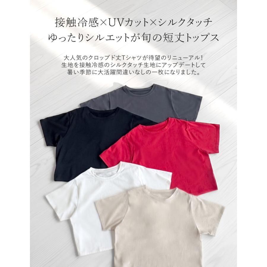 Tシャツ レディース トップス 半袖 クロップド セミクロップド　短丈 ベーシック シンプル ショート丈 クルーネック 春夏[mb] | Re:EDIT | 06