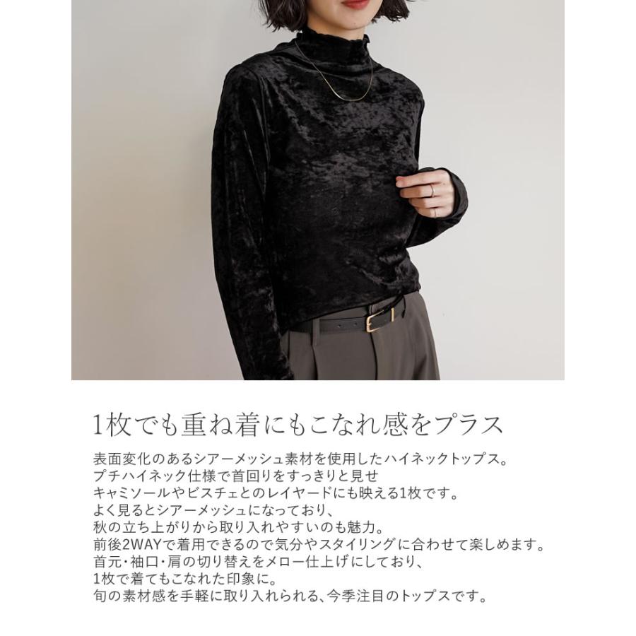 トップス カットソー 長袖 レディース ロンT ハイネック ベロア風 メッシュ プルオーバー シアー 前後2WAY ストレッチ 2025秋冬[mb] | Re:EDIT | 09