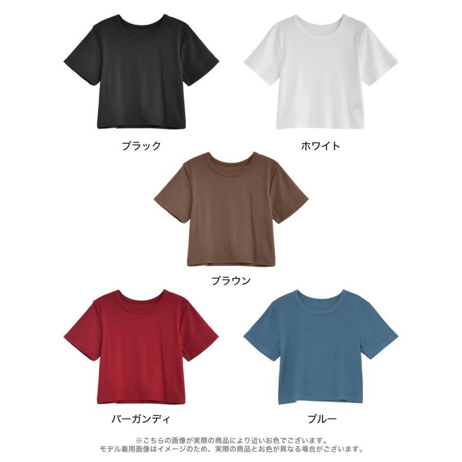 半袖 Tシャツ レディース トップス クロップド丈 カットソー ストレッチ コンパクト オフィスカジュアル 伸縮性 シンプル 新色追加 春夏[mb] | Re:EDIT | 22