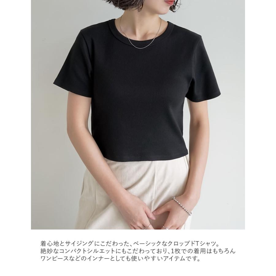 半袖 Tシャツ レディース トップス クロップド丈 カットソー ストレッチ コンパクト オフィスカジュアル 伸縮性 シンプル 新色追加 春夏[mb] | Re:EDIT | 12