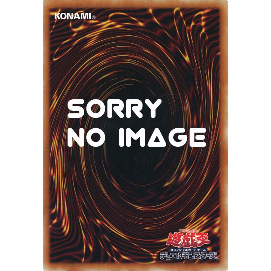 鑑定品 PSA10 極美品 世界11枚 最安値 メタル化・魔法反射装甲