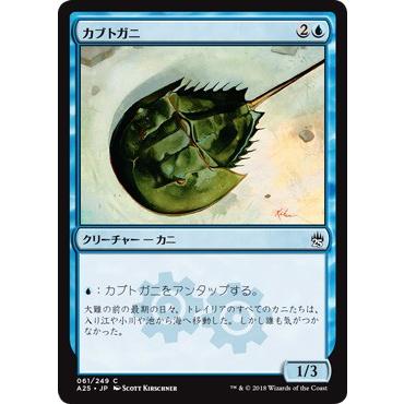 カブトガニ C 5 61 249 日本語版 Game38japan 通販 Yahoo ショッピング