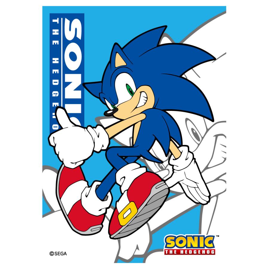 キャラクタースリーブ ソニック ザ ヘッジホッグ ソニック En 1131 エンスカイ 23年1月27日発売予定 ゲームフリークnet 通販 Yahoo ショッピング