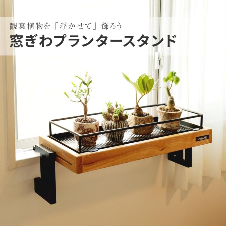 ビビラボ BIBILAB 窓ぎわプランタースタンド LPA-600-BK LPA-600-BK_3