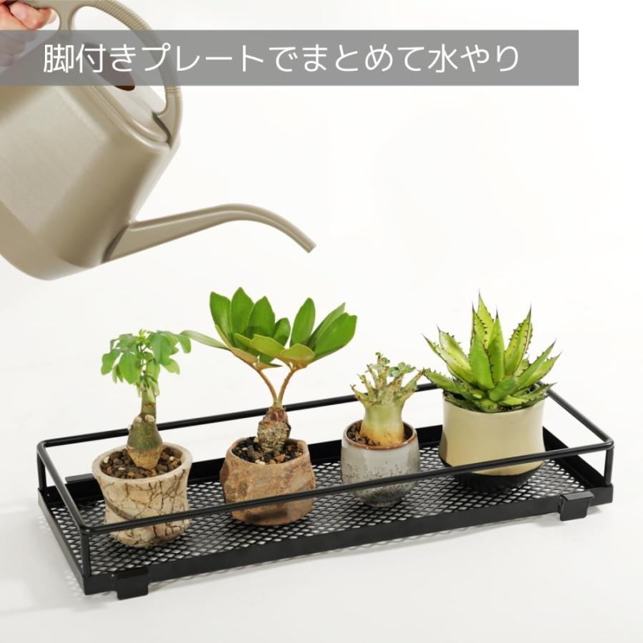 ビビラボ BIBILAB 窓ぎわプランタースタンド LPA-600-BK LPA-600-BK_8