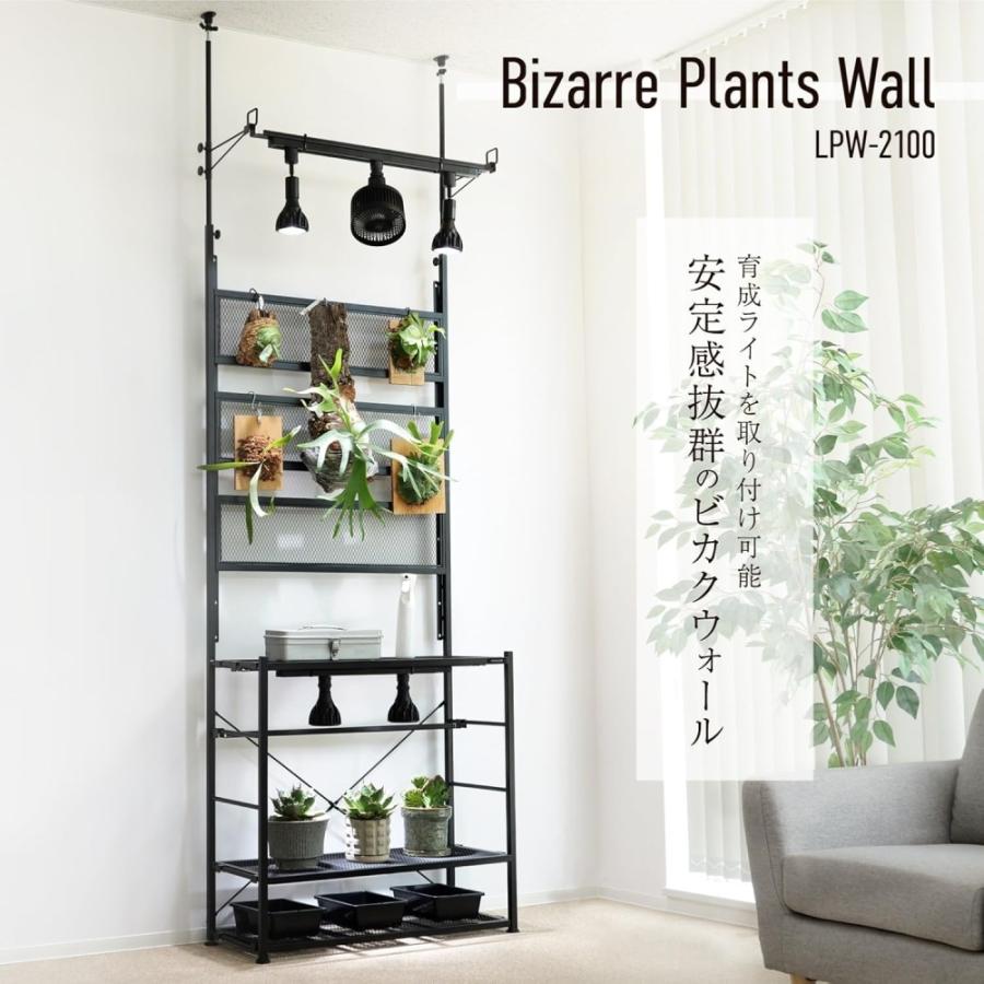 ビザールプランツウォールラック LPW-2100-BK 植物育成ライト サーキュレーター 取り付け可能 ビカクウォール ビカクシダ ツッパリ 植物棚 観葉植物 ラック（Yahoo!・Gamers Hide）