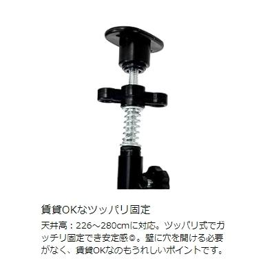 ビビラボ（BIBILAB） ビザールプランツウォールラック LPW-2100-BK